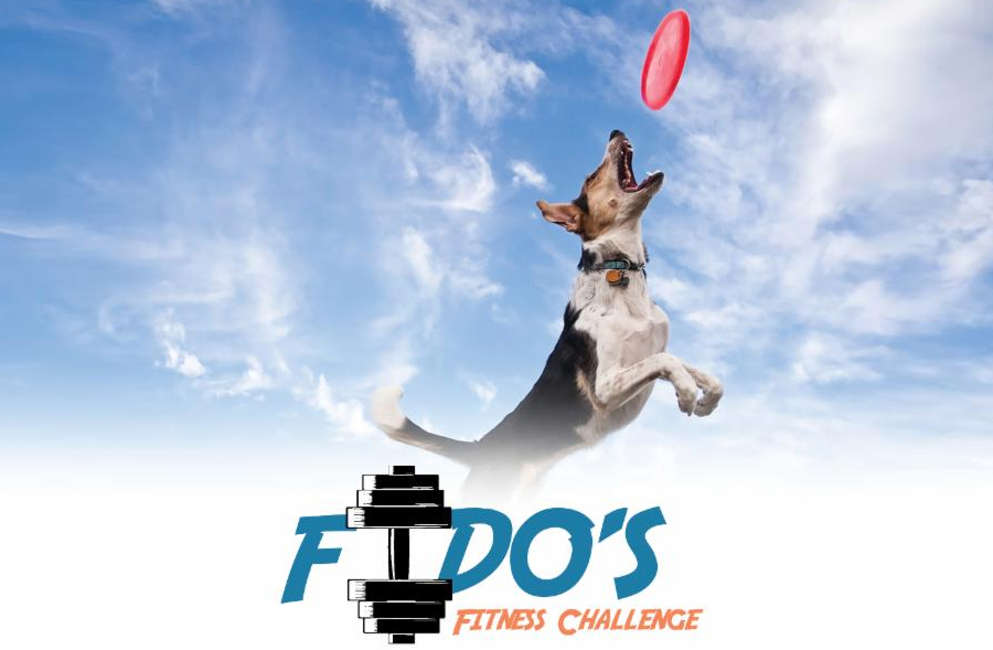 Fido Fitness