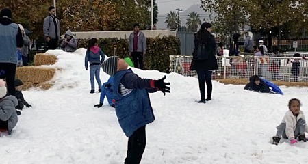 Kids playing in the snow.