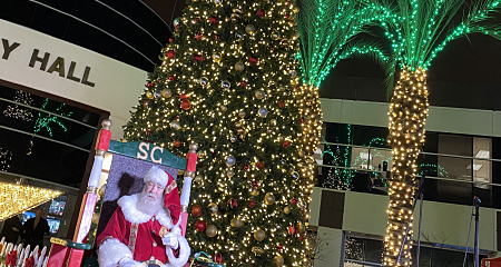 Lit tree outside City Hall